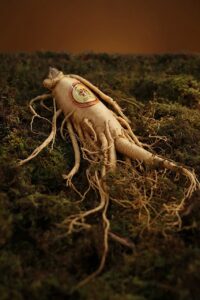 Benefits of ashwagandha