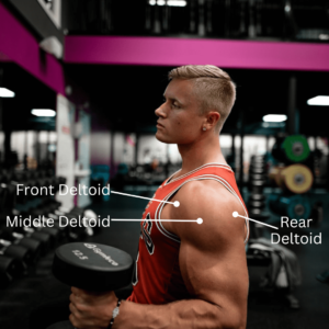 Shoulder exercises
